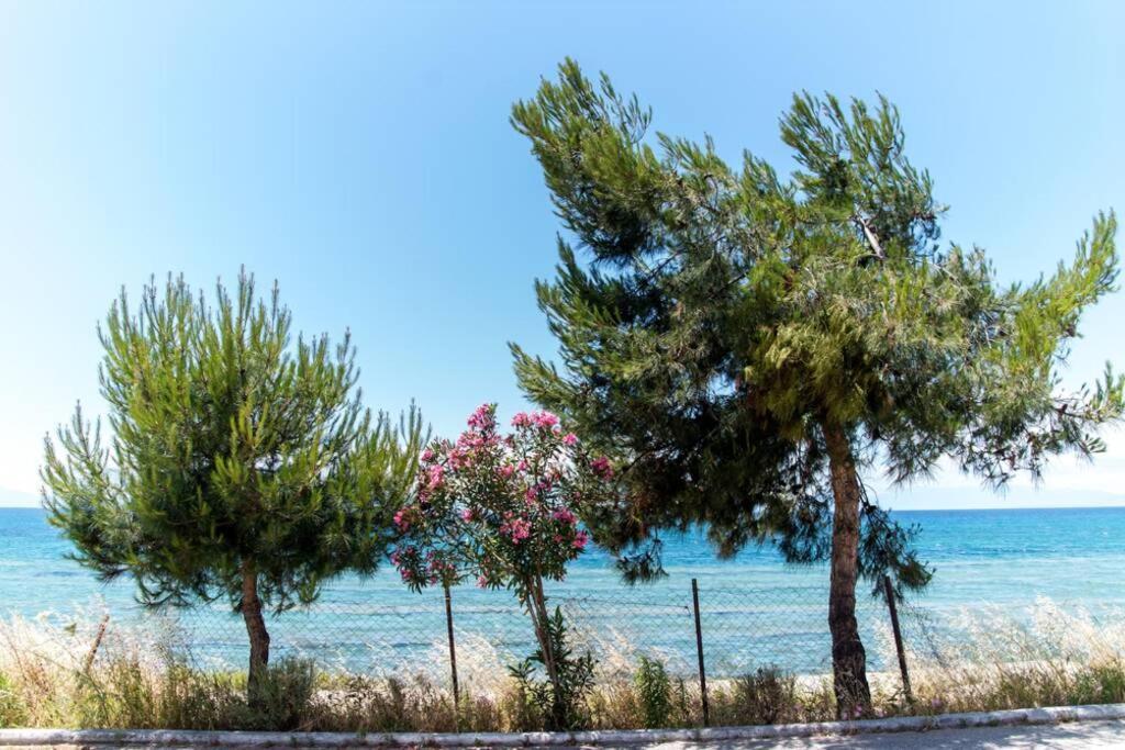 Seafront 2 Bedrooms Apartment Nea Iraklia Exterior foto
